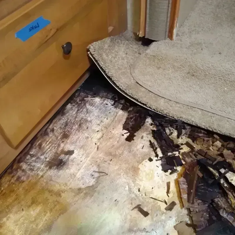 Wood Floor Water Damage in East Highland Park, VA